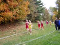 Photo Number 8